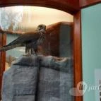 Magyar Természettudományi Múzeum Mátra Múzeuma Gyöngyös - Belső