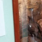 Magyar Természettudományi Múzeum Mátra Múzeuma Gyöngyös - Belső