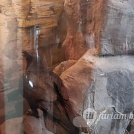 Magyar Természettudományi Múzeum Mátra Múzeuma, Gyöngyös - Belső