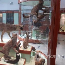 Magyar Természettudományi Múzeum Mátra Múzeuma, Gyöngyös - Belső