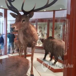 Magyar Természettudományi Múzeum Mátra Múzeuma, Gyöngyös - Belső