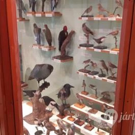 Magyar Természettudományi Múzeum Mátra Múzeuma, Gyöngyös - Belső