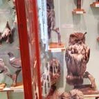 Magyar Természettudományi Múzeum Mátra Múzeuma Gyöngyös - Belső