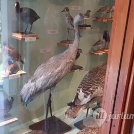 Magyar Természettudományi Múzeum Mátra Múzeuma, Gyöngyös - Belső