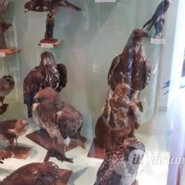 Magyar Természettudományi Múzeum Mátra Múzeuma, Gyöngyös - Belső