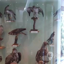 Magyar Természettudományi Múzeum Mátra Múzeuma, Gyöngyös - Belső