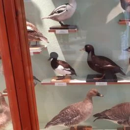 Magyar Természettudományi Múzeum Mátra Múzeuma, Gyöngyös - Belső