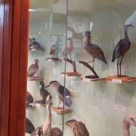 Magyar Természettudományi Múzeum Mátra Múzeuma, Gyöngyös - Belső