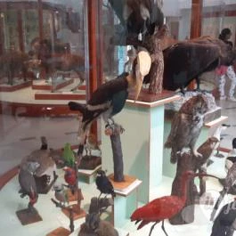 Magyar Természettudományi Múzeum Mátra Múzeuma, Gyöngyös - Belső