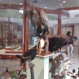 Magyar Természettudományi Múzeum Mátra Múzeuma, Gyöngyös - Belső