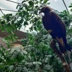 Magyar Természettudományi Múzeum Mátra Múzeuma Gyöngyös - Belső