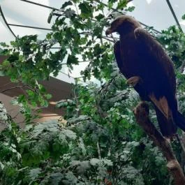 Magyar Természettudományi Múzeum Mátra Múzeuma, Gyöngyös - Belső