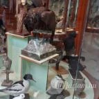 Magyar Természettudományi Múzeum Mátra Múzeuma Gyöngyös - Belső