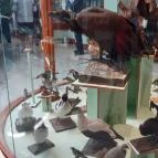 Magyar Természettudományi Múzeum Mátra Múzeuma Gyöngyös - Belső