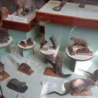 Magyar Természettudományi Múzeum Mátra Múzeuma Gyöngyös - Belső