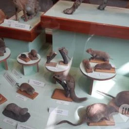 Magyar Természettudományi Múzeum Mátra Múzeuma, Gyöngyös - Belső