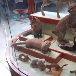 Magyar Természettudományi Múzeum Mátra Múzeuma, Gyöngyös - Egyéb