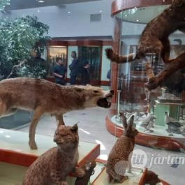 Magyar Természettudományi Múzeum Mátra Múzeuma, Gyöngyös - Belső