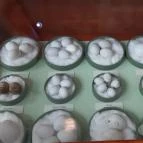 Magyar Természettudományi Múzeum Mátra Múzeuma Gyöngyös - Belső