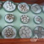 Magyar Természettudományi Múzeum Mátra Múzeuma Gyöngyös - Belső