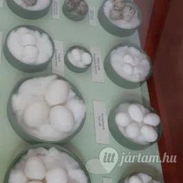 Magyar Természettudományi Múzeum Mátra Múzeuma, Gyöngyös - Belső