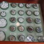 Magyar Természettudományi Múzeum Mátra Múzeuma Gyöngyös - Belső