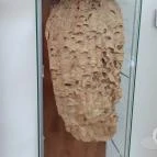 Magyar Természettudományi Múzeum Mátra Múzeuma Gyöngyös - Belső