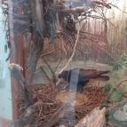 Magyar Természettudományi Múzeum Mátra Múzeuma Gyöngyös - Belső