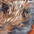 Magyar Természettudományi Múzeum Mátra Múzeuma Gyöngyös - Belső