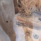 Magyar Természettudományi Múzeum Mátra Múzeuma Gyöngyös - Belső