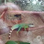 Magyar Természettudományi Múzeum Mátra Múzeuma Gyöngyös - Belső