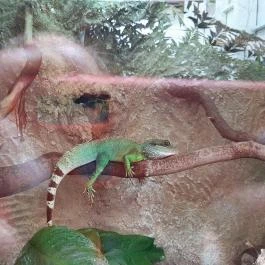 Magyar Természettudományi Múzeum Mátra Múzeuma, Gyöngyös - Belső