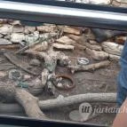 Magyar Természettudományi Múzeum Mátra Múzeuma Gyöngyös - Belső