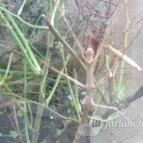 Magyar Természettudományi Múzeum Mátra Múzeuma Gyöngyös - Belső