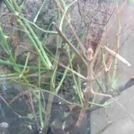 Magyar Természettudományi Múzeum Mátra Múzeuma, Gyöngyös - Belső