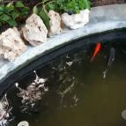 Magyar Természettudományi Múzeum Mátra Múzeuma Gyöngyös - Belső