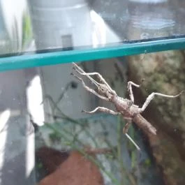 Magyar Természettudományi Múzeum Mátra Múzeuma, Gyöngyös - Belső