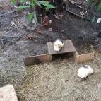 Magyar Természettudományi Múzeum Mátra Múzeuma Gyöngyös - Belső