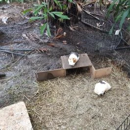 Magyar Természettudományi Múzeum Mátra Múzeuma, Gyöngyös - Belső