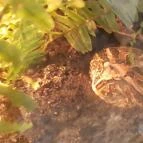 Magyar Természettudományi Múzeum Mátra Múzeuma Gyöngyös - Belső