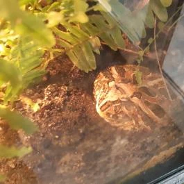 Magyar Természettudományi Múzeum Mátra Múzeuma, Gyöngyös - Belső