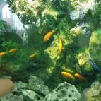 Magyar Természettudományi Múzeum Mátra Múzeuma Gyöngyös - Belső