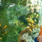 Magyar Természettudományi Múzeum Mátra Múzeuma Gyöngyös - Belső