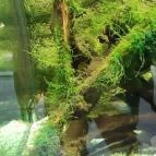 Magyar Természettudományi Múzeum Mátra Múzeuma Gyöngyös - Belső