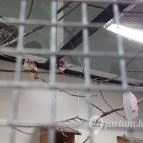 Magyar Természettudományi Múzeum Mátra Múzeuma Gyöngyös - Belső