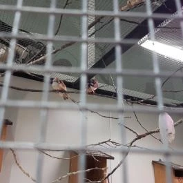 Magyar Természettudományi Múzeum Mátra Múzeuma, Gyöngyös - Belső