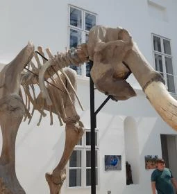 Magyar Természettudományi Múzeum Mátra Múzeuma