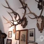 Magyar Természettudományi Múzeum Mátra Múzeuma Gyöngyös - Belső