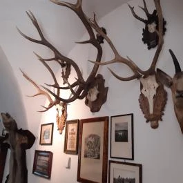 Magyar Természettudományi Múzeum Mátra Múzeuma, Gyöngyös - Belső