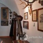 Magyar Természettudományi Múzeum Mátra Múzeuma Gyöngyös - Belső